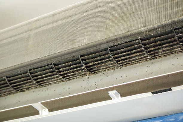 Best Air Duct Cleaning Near Me  in East Sonora, CA